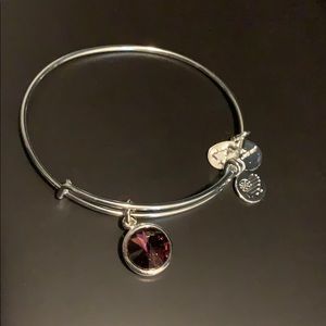 NWOT Alex & Ani birthstone bangle, February